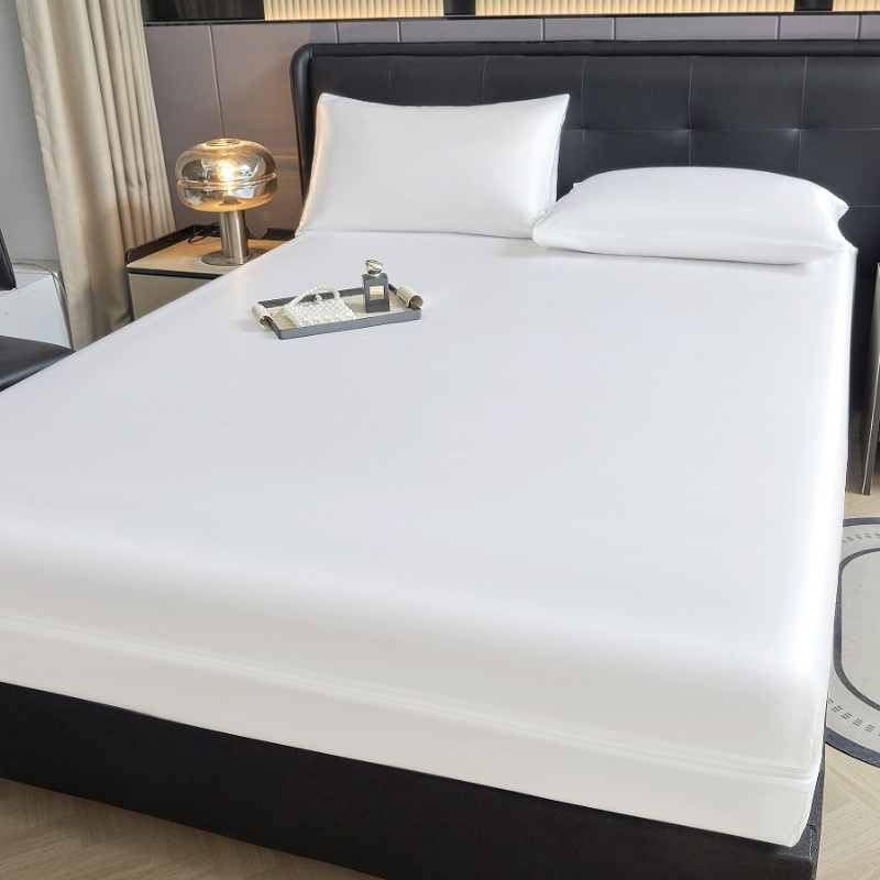 6-Sided Zipper Mattress Encase - Mattress Pad Topper ulasan dan harga